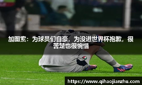 加图索：为球员们自豪，为没进世界杯抱歉，很苦楚也很惋惜